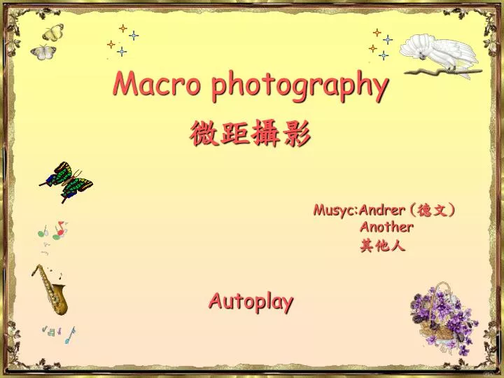 macro photography