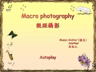 Macro photography ????