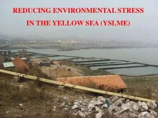 REDUCING ENVIRONMENTAL STRESS IN THE YELLOW SEA (YSLME)