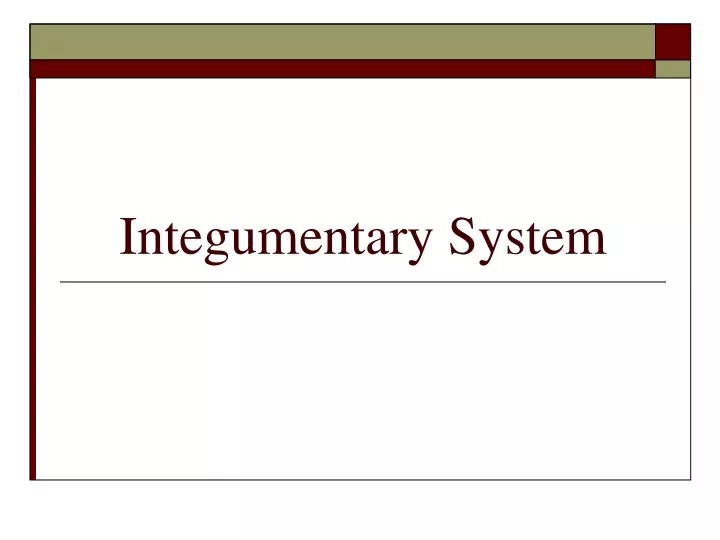 integumentary system