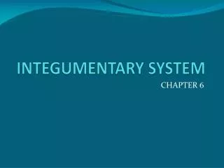 INTEGUMENTARY SYSTEM