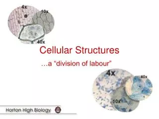 Cellular Structures