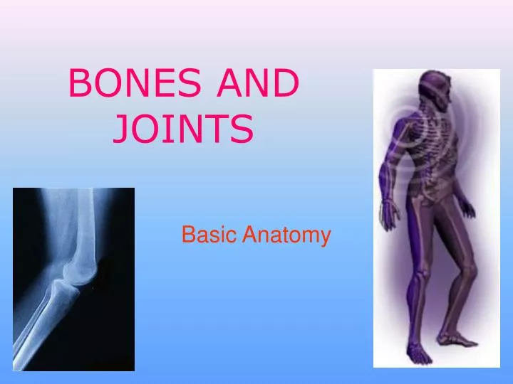 bones and joints