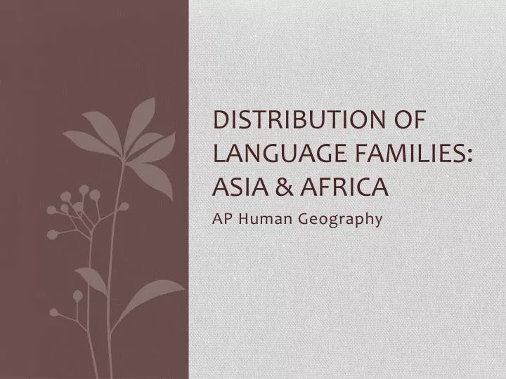 distribution of language families asia africa