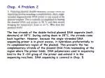 DNA Structure and Function Overview - slide 1