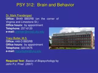 PSY 312: Brain and Behavior