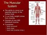 The Muscular System - slide 1