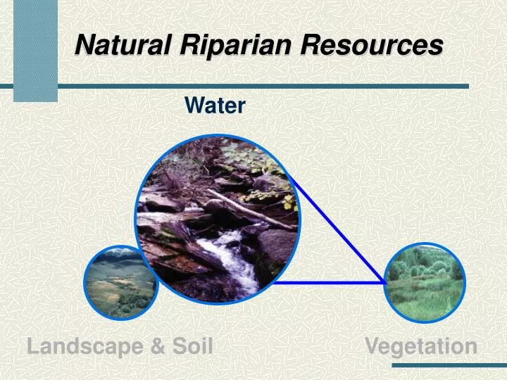 natural riparian resources