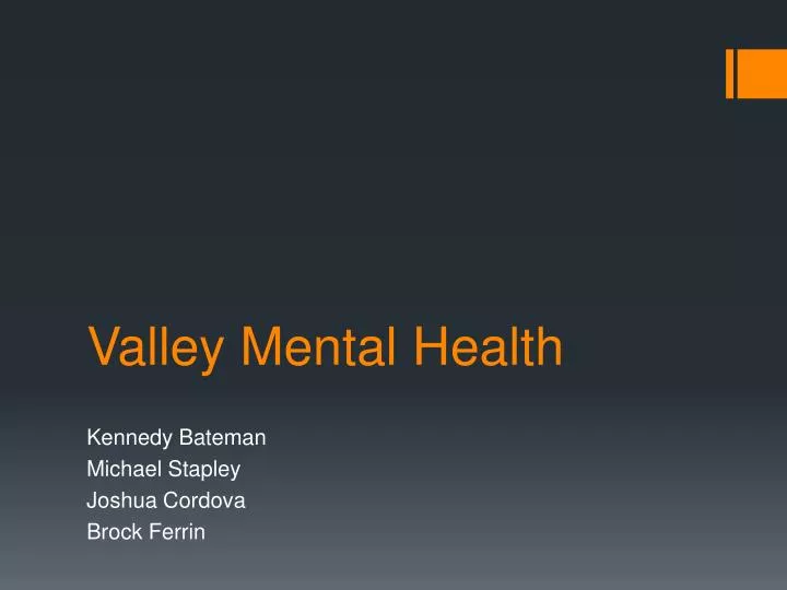 valley mental health