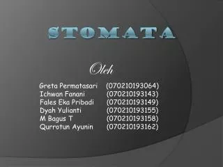 stomata