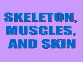 SKELETON, MUSCLES, AND SKIN