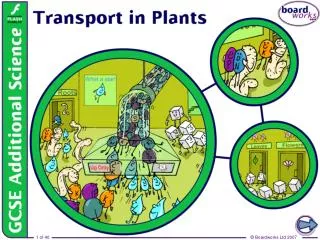 How do plants get what they need?