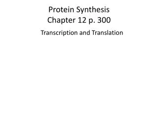 Protein Synthesis Chapter 12 p. 300