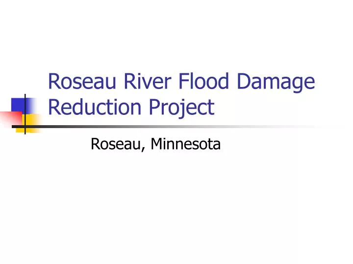 roseau river flood damage reduction project