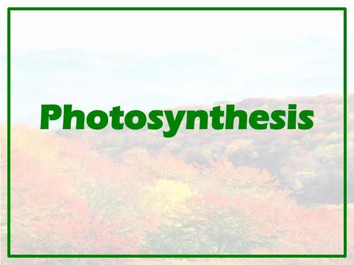 photosynthesis