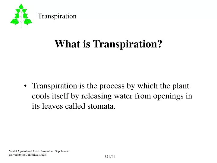 what is transpiration