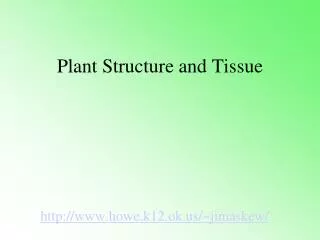 Plant Structure and Tissue