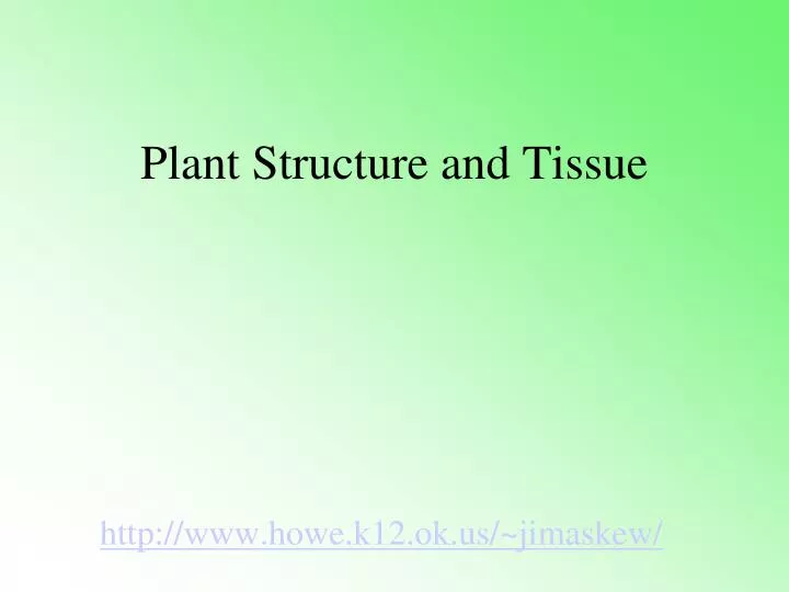 plant structure and tissue
