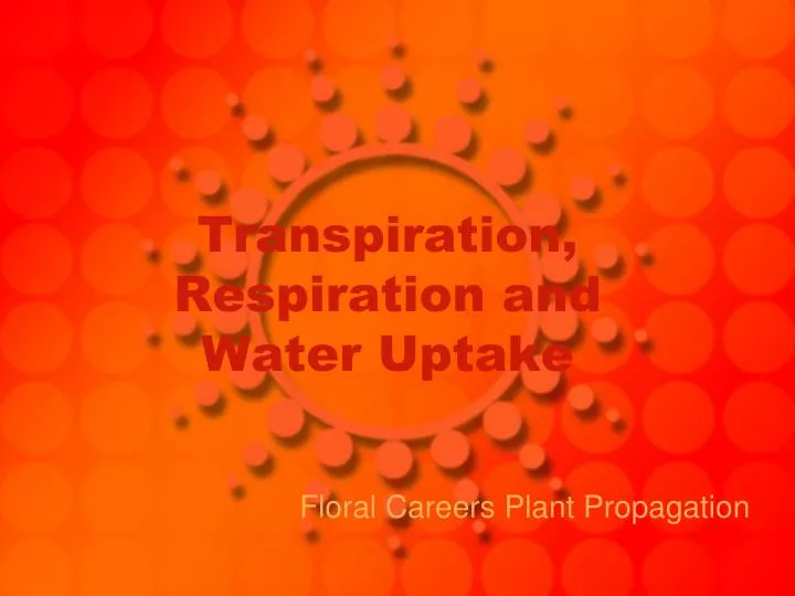 transpiration respiration and water uptake