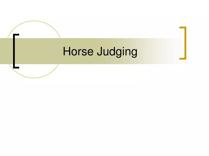 horse judging