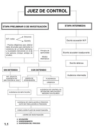 juez de control
