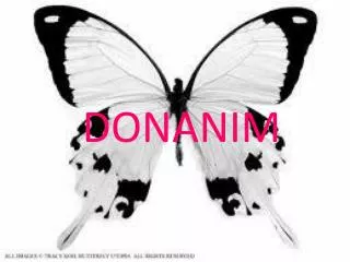 donanim