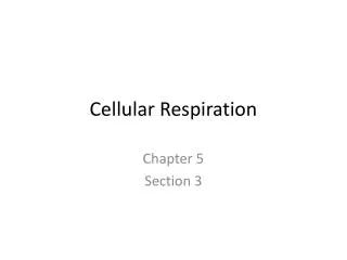 Cellular Respiration