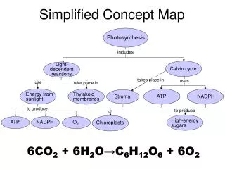 Simplified Concept Map