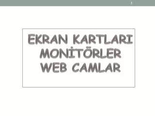 ekran kartlari mon t rler web camlar