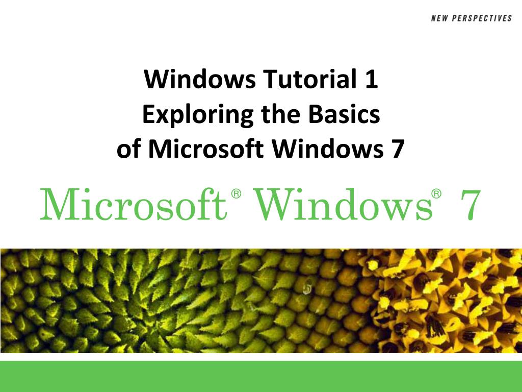 PPT - Windows Tutorial 1 Exploring the Basics of Microsoft Windows 7 ...