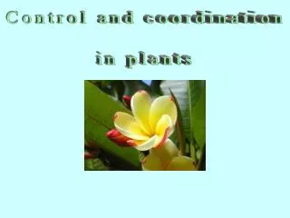 Control and coordination in plants
