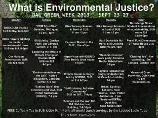 what is environmental justice