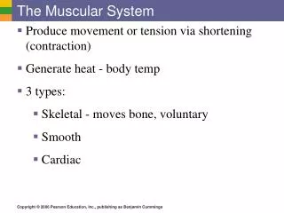 The Muscular System