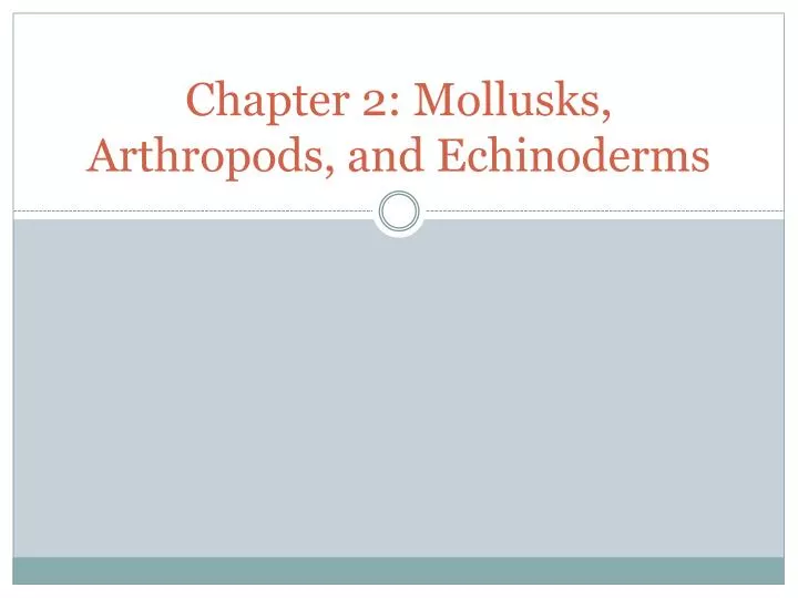 chapter 2 mollusks arthropods and echinoderms