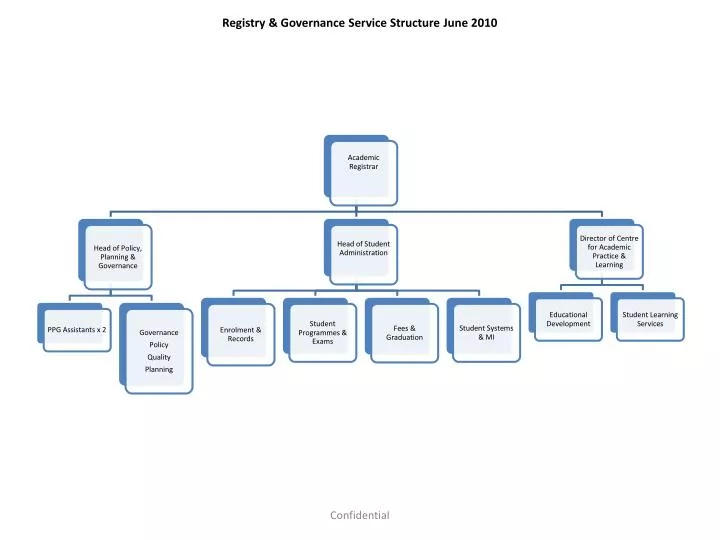 registry governance service structure june 2010