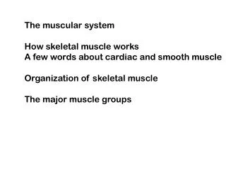 The muscular system How skeletal muscle works A few words about cardiac and smooth muscle