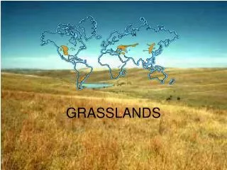 GRASSLANDS