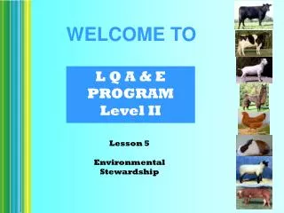 L Q A &amp; E PROGRAM Level II