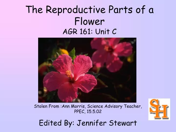 Reproductive Parts Of A Flower Agr 161