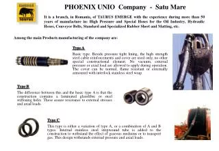 PHOENIX UNIO Company - Satu Mare