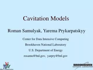 Cavitation Models