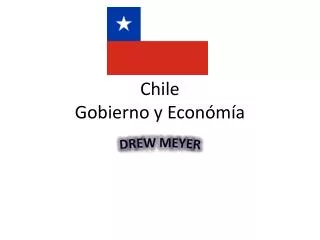 chile gobierno y econ m a