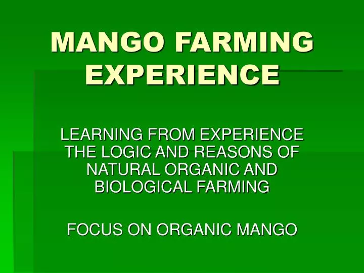 mango farming experience