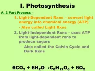 I. Photosynthesis