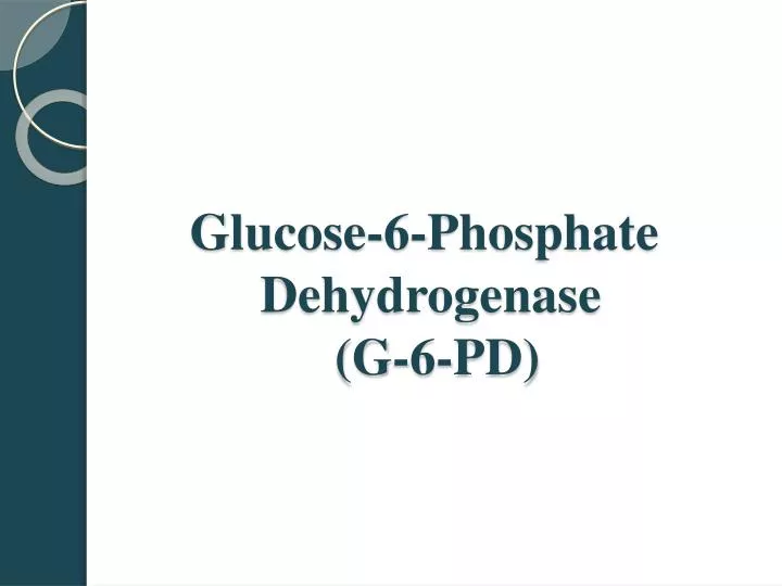 glucose 6 phosphate dehydrogenase g 6 pd