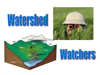 Watershed