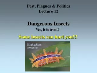 Pest, Plagues &amp; Politics Lecture 12 Dangerous Insects