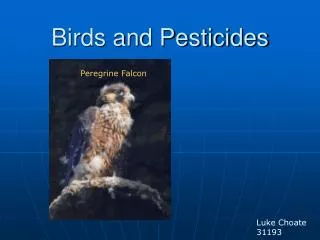Birds and Pesticides