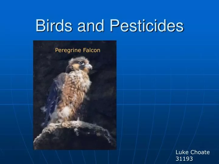 birds and pesticides