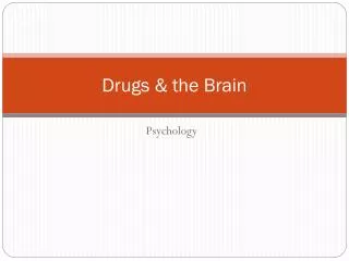 Drugs &amp; the Brain